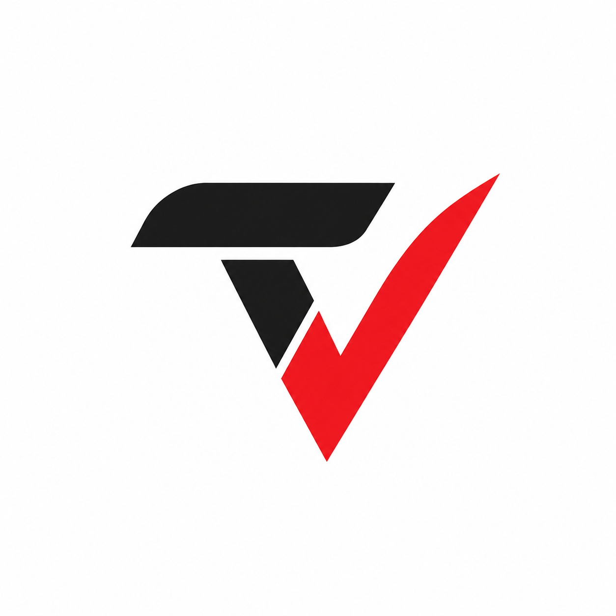 TNVOX LOGO